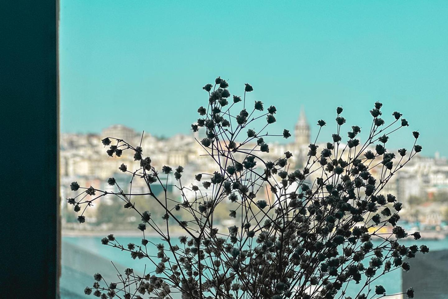 The Halic Bosphorus Hotel Istanbul Eksteriør bilde